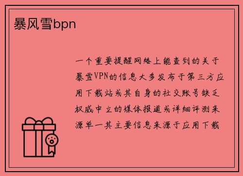 暴风雪bpn